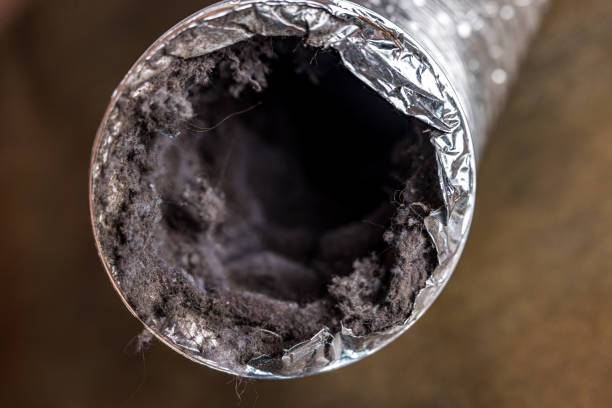 Best Best Air Duct Cleaning Company  in Alpha, NJ